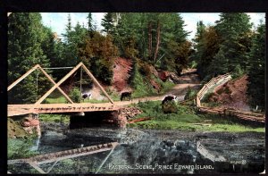 PEI Prince Edward Island Pastoral Scene Cattle Bridge By Valentine & Sons Und/B