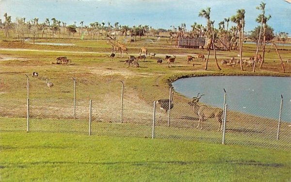 The African Veld at Busch Gardens Tampa, Florida