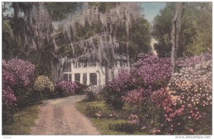 Driveway to the Postern , SUMMERVILLE , South Carolina , 00-10s