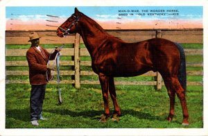 Man-O-War The Wonder Horse Bred In Old Kentucky 1936