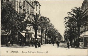 CPA Ajaccio Avenue du Premier Consul CORSICA (1077886)