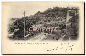 VINTAGE POSTCARD Oran the Walk of Letang