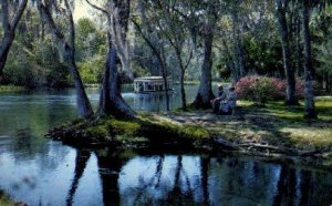 Silver River - Sarasota, Florida FL