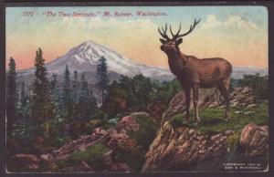 The Two Sentinels,Mt Rainier,Elk,WA Postcard 