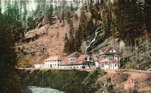 Vintage Postcard 1908 Route S. P. R. R. Along River Houses Shasta Springs Calif.