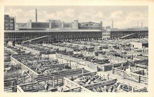 Chicago Illinois~Swift & Co Bird's Eye View~Swift Smoke Stacks~Gen Office~1950s