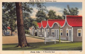 Shady Lodge Tourist Court Motel Oskaloosa Iowa linen postcard