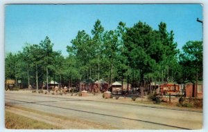 MANNING, South Carolina SC ~ Roadside SUBURBAN PINES MOTEL c 1950s Postcard