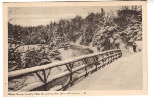 Winter Road, Bowing Park, St.John's Newfoundland