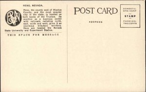 RENO NV Public Library and Riverside Hotel c1910 Postcard