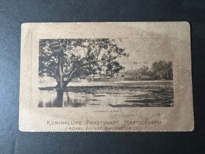 Mint Royal Packet Navigation RPPC Postcard Kininklijke Paketvaart Maatschappij