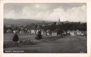 Neuern Nyrsko Czech Republic Birds Eye View Real Photo Antique Postcard J61131