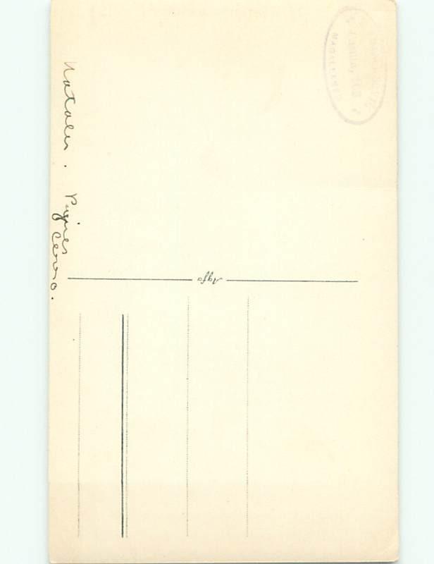 Old rppc NATURE SCENE Great Postcard AB0526