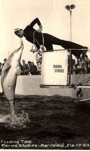 1950 ST AUGUSTINE MARINELAND FLORIDA FEEDING TIME DOLPHIN RPPC POSTCARD P878