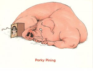 Porky Pining, by Silvey Hex Animal humour English Postcard. Size 15  x 12 cms