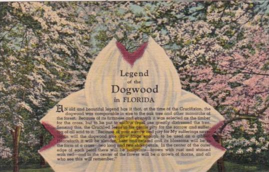 Legend Of The Dogwood Tree In Florida Curteich