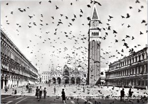 Postcard RPPC  Italy Venice  Piazza San Marco  - birds flying