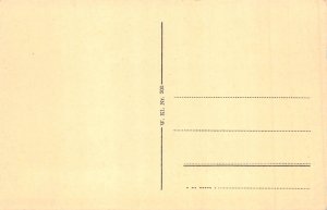 L262 Germany Magdeburg, Museum vintage postcard