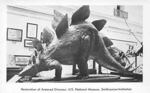 Restoration of armored dinosaur US national Museum, Smithsonian Institution A...