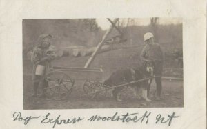 RP WOODSTOCK Vermont 1901-07 Dog Express Wagon