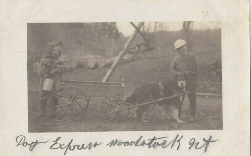 RP WOODSTOCK Vermont 1901-07 Dog Express Wagon
