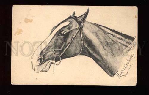 002566 Head of Riding HORSE by CASALANZA vintage PC