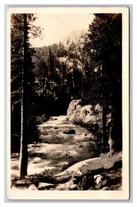 RPPC View on San Joaquin River California CA UNP Postcard Z9