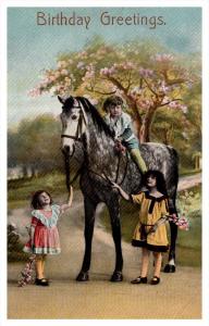 Birthday,  3 girls  with  Horse