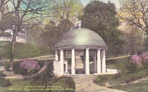 West Virginia White Sulphur Springs Sulphur Spring Handcolored Albertype