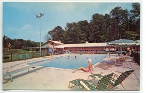 Forest Motel US Route 40 Baltimore Maryland postcard