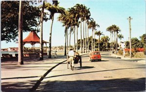 Barbados W.I St. Michael The Esplanade Vintage Postcard C195