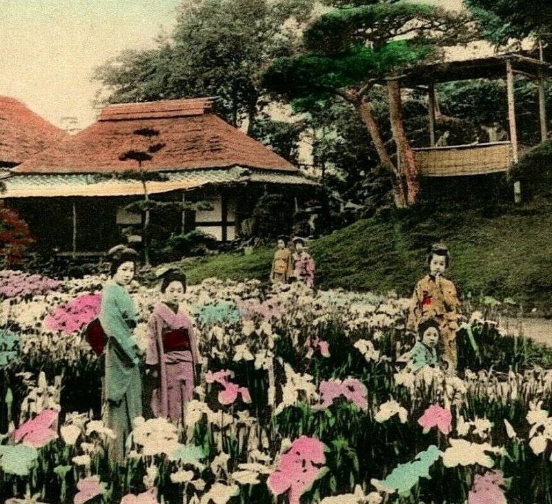 Japan Iris Gardens at Horikiri Tokyo Hand Tinted Gisha 1910s Vtg Postcard UNP 