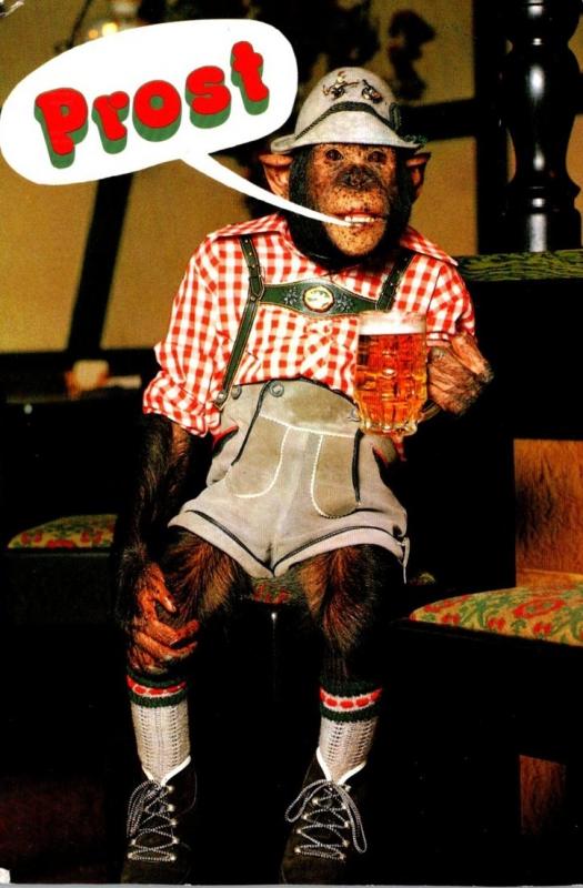 Humour Monkey With Beer Stein Prost 1997