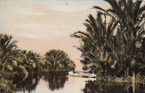 Netherland Antilles River Scene