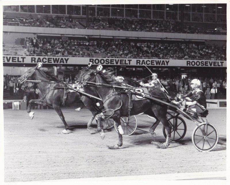 ROOSEVELT RACEWAY, Harness Horse Race, "CROWNED ELEGANCE" wins, 1984