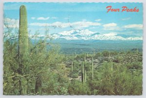 State View~Phoenix AZ~Snow Covered Four Peaks Mtn Range~Continental Postcard