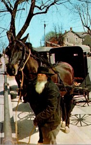 Ohio Amish Country Amish Man Hitching His Horse and Wagon In Front Of General...