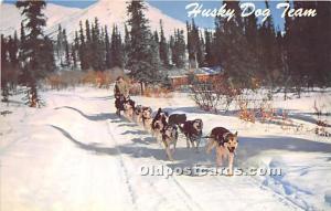 Husky Dog Team Alaksa, AK, USA Sleigh Riding Unused 