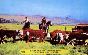 Tohatchi, New Mexico - Sheep Springs Trading Post - c1960