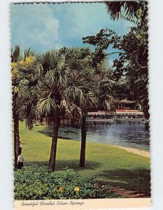 Postcard Semi-tropical scene, Beautiful Florida's Silver Springs, Florida