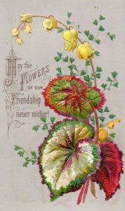 1880s Superb Valentine Heavily Embossed Realistic Plants Flowers 4 Card Set F110