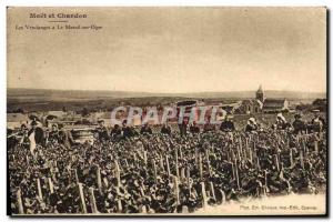 Old Postcard Folklore Wine Vineyard Harvest Champagne Moet & Chandon The harv...