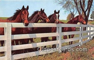 Friendly Gathering Free Lance Photographers Guild, Inc Unused 