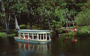 Vintage Postcard Silver Springs World Famous Glass Bottom Boats Park Florida FL