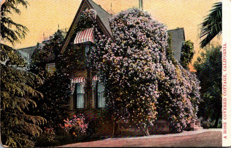 California Beautiful Rose Covered Cottage