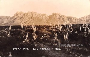 Organ Mountains in Las Cruces, New Mexico