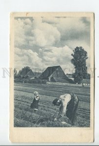 460418 Germany harvesting in the village Vintage postcard