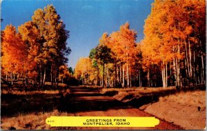Greetings from Montpelier Idaho Postcard fall foliage