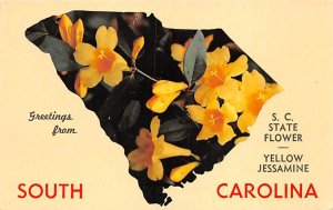 Greetings from South Carolina State flower, yellow jasmine Greetings from, SC