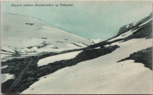 Norway Naeroyfjord Sogn Nærøyfjord Vintage Postcard 03.19
